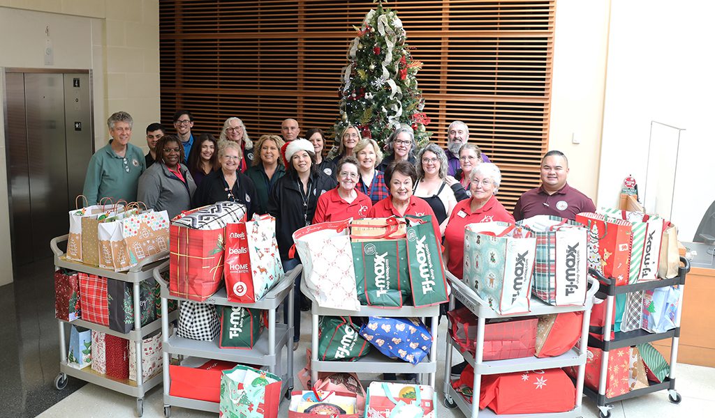 Lake County Clerk’s Office employees spread joy and kindness through Christmas donation efforts